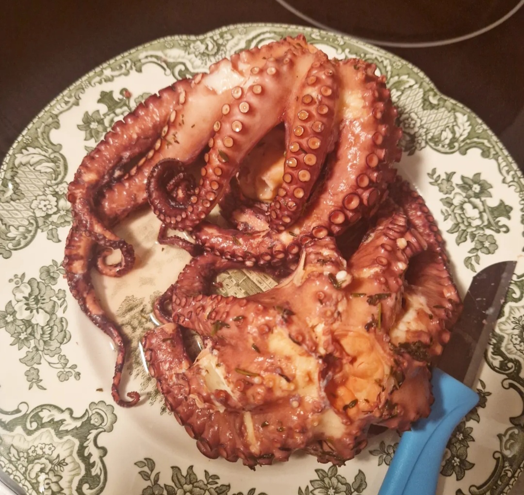 Oktopus