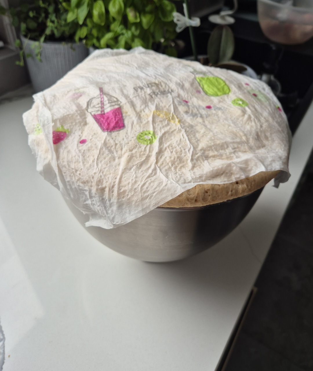 Dinkel
